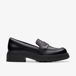 Orinoco3 Edge Black Leather - US 6595